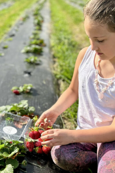 A girl sitting outside picking strawberries in the sun.