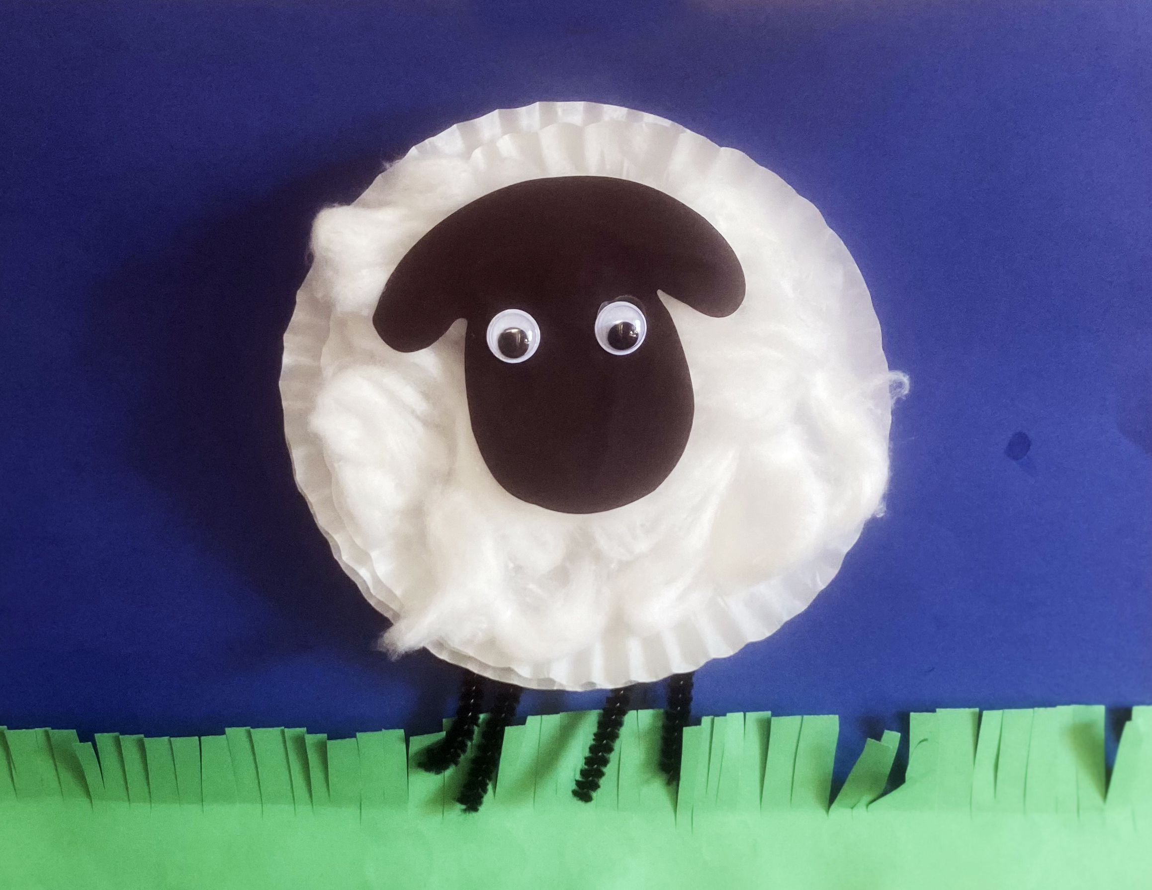 Tactile craft of sheep