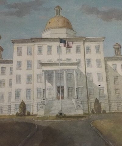 picture of white school with gold dome and flag in front