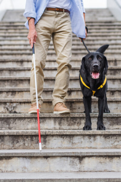 Person holds dog leash and white cane while descending stairs