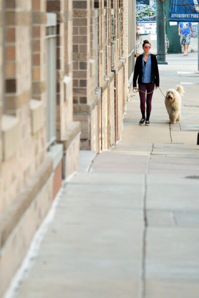 Person walking dog on wide sidewalk